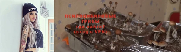эйфоретик Балахна