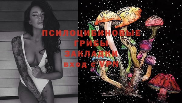 ГАЛЛЮЦИНОГЕННЫЕ ГРИБЫ Баксан