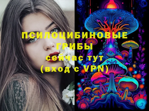 ГАЛЛЮЦИНОГЕННЫЕ ГРИБЫ Баксан